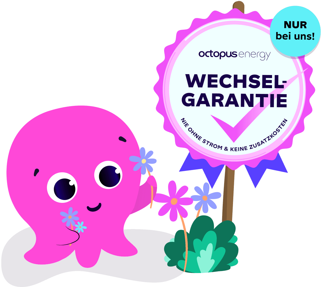 A cute pink octopus holds flowers next to a sign with a seal of approval for "Wechsel-Garantie" by Octopus Energy.